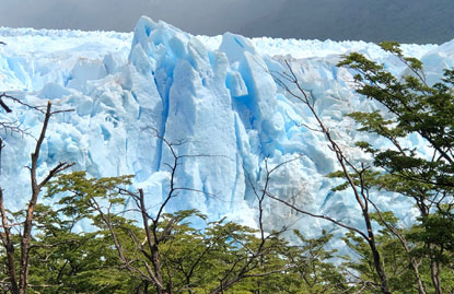 Patagonia ice with greenery
